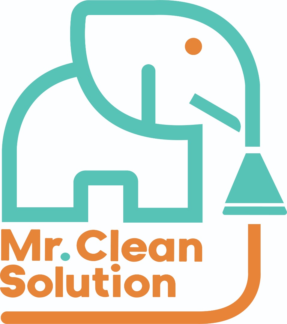 Mr Clean Solution Upholstery Cleaning Miami